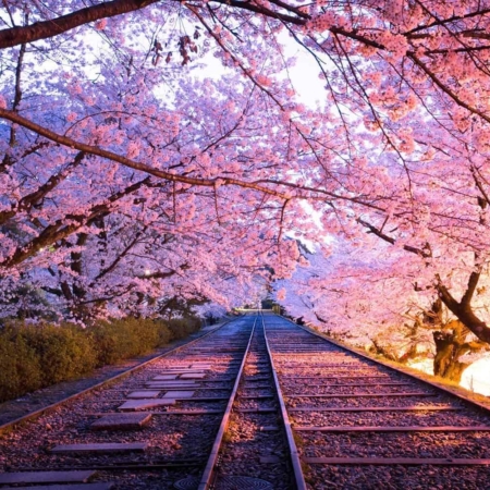 Torokko Sagano's tracks, the Sagano Romantic Train